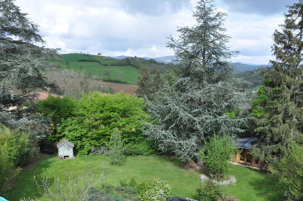 Chambre D'Hotes La Noue Bed & Breakfast Saint-Pierre-la-Palud Εξωτερικό φωτογραφία
